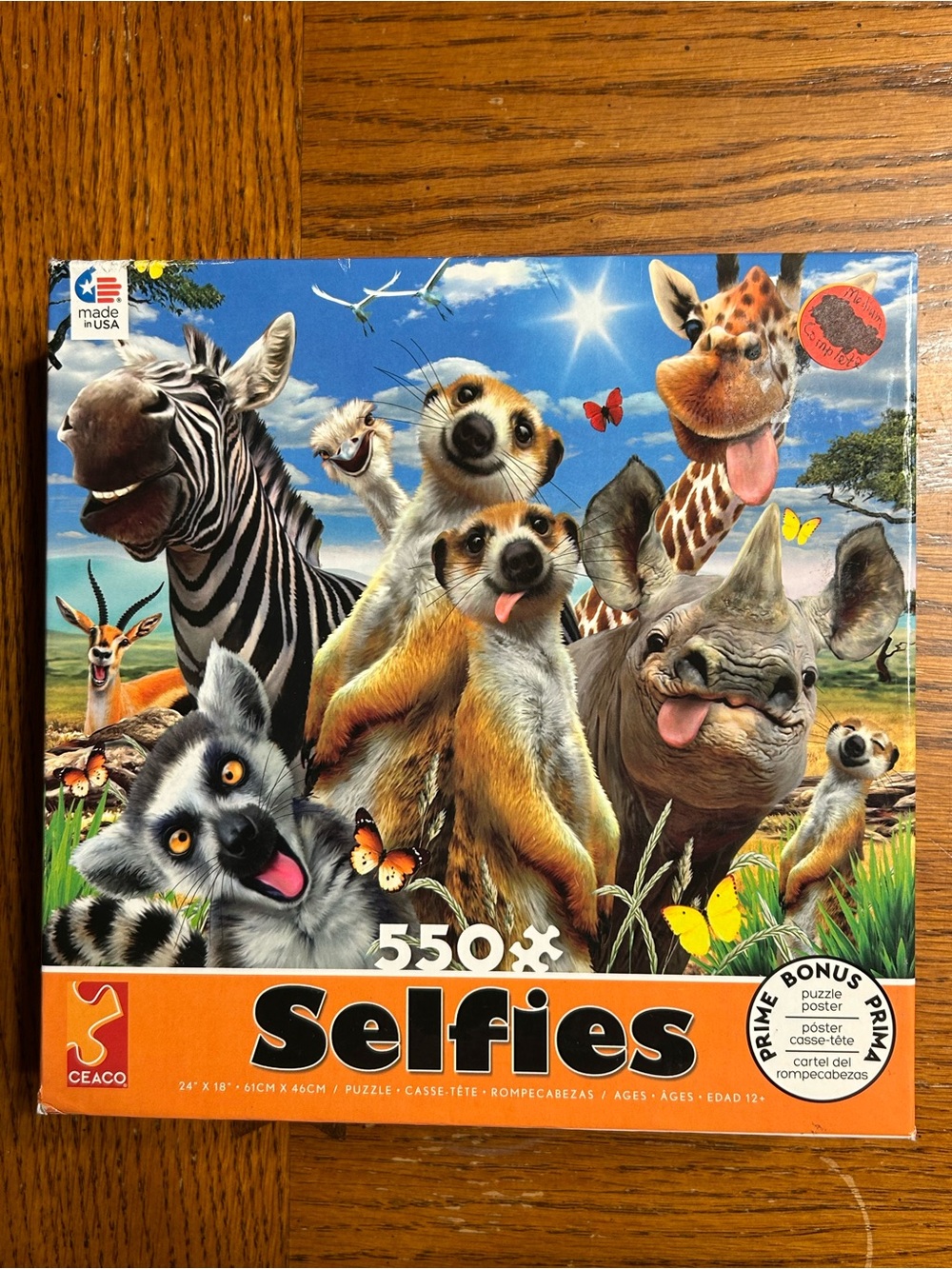 Selfies 550-Piece Jigsaw Puzzle by Ceaco